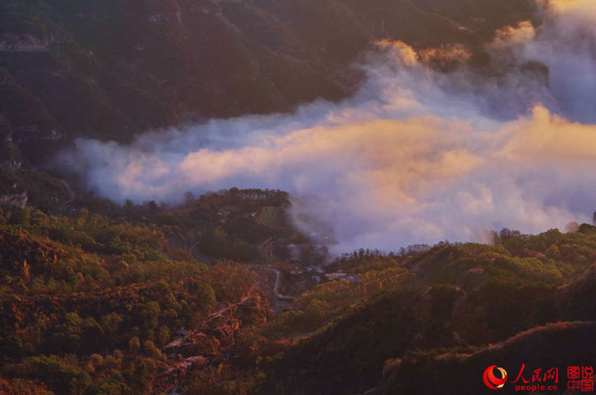 ???? ??? ??? ??, ?? ???? ????