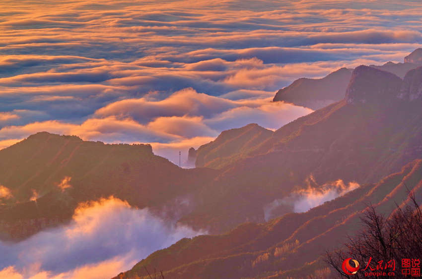 ???? ??? ??? ??, ?? ???? ????