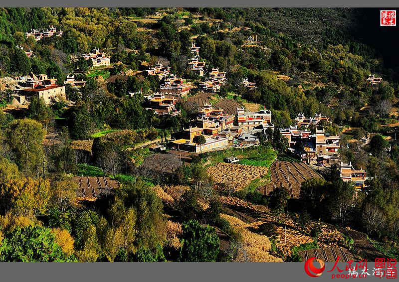 ?? ??? ???? ?? ‘?? ?? ?’