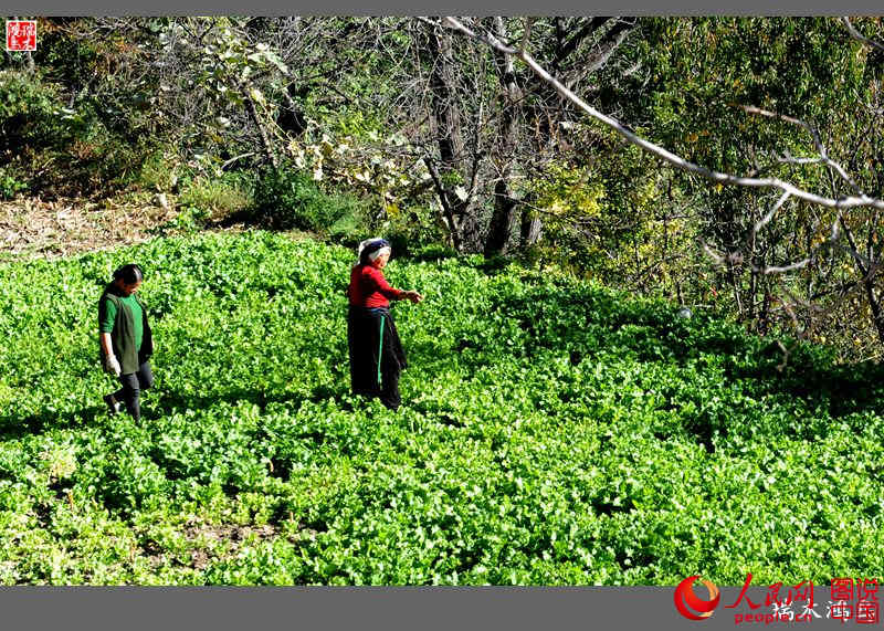 ?? ??? ???? ?? ‘?? ?? ?’