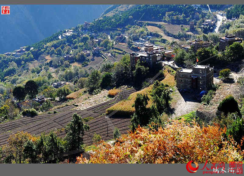 ?? ??? ???? ?? ‘?? ?? ?’