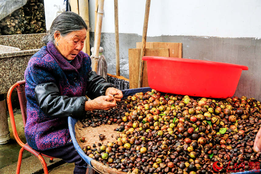 ??? ?? ?? ??, ??? ??(菊徑)?