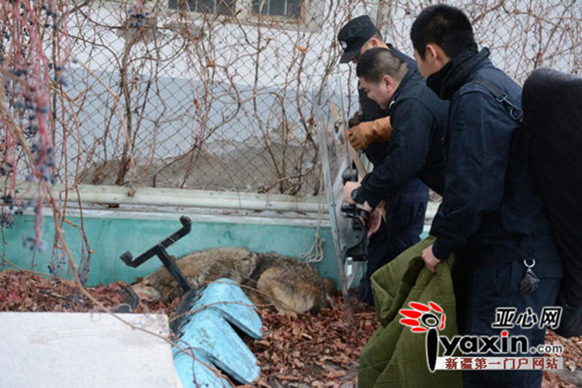 ?? ????? ?? ?? ??, 1?? ?? ??