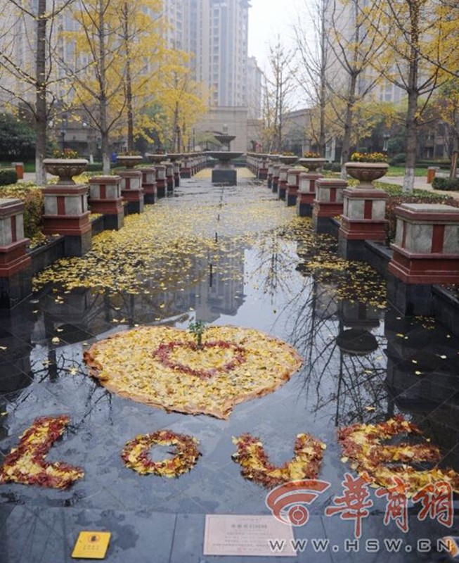 ??? ????, ??? ?? ??? ??? ?? ???