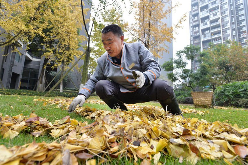 ??? ????, ??? ?? ??? ??? ?? ???