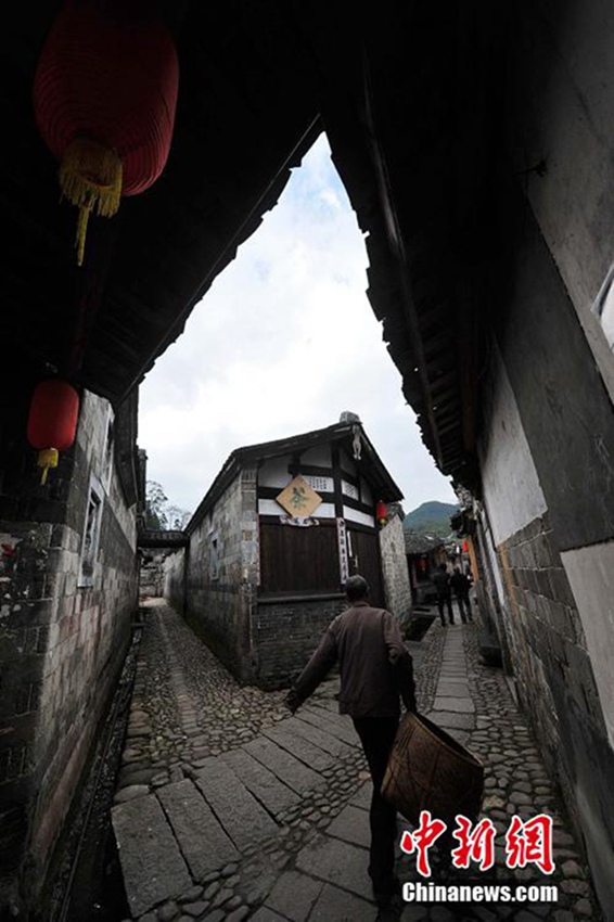 800? ‘?? ??’ ?? ??? ? ?? ?? 