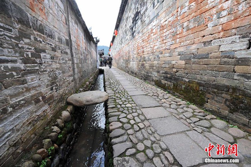 800? ‘?? ??’ ?? ??? ? ?? ?? 