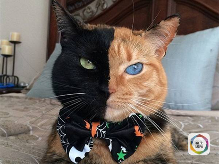 ?? ?? ??? ??? ?? ‘??? ??? ??’ 