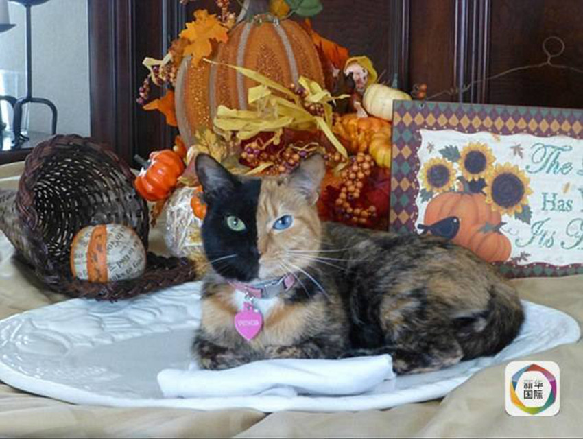 ?? ?? ??? ??? ?? ‘??? ??? ??’ 