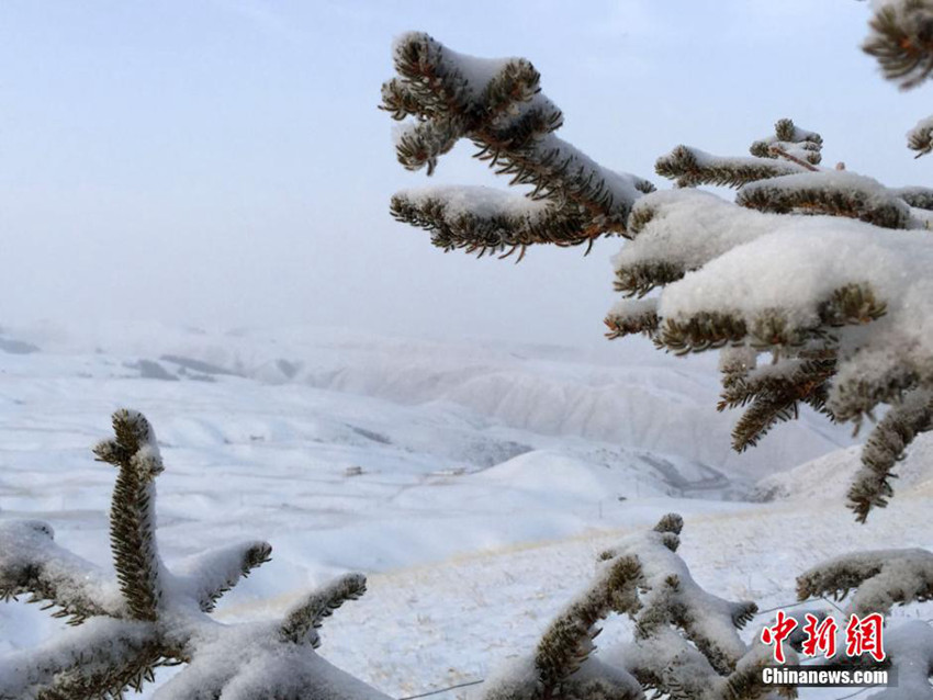 ??? ???? ?? ??… ?? ??