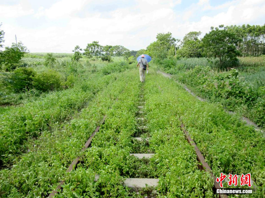 ?? ?? ??? ??? ?? ‘?? ????’