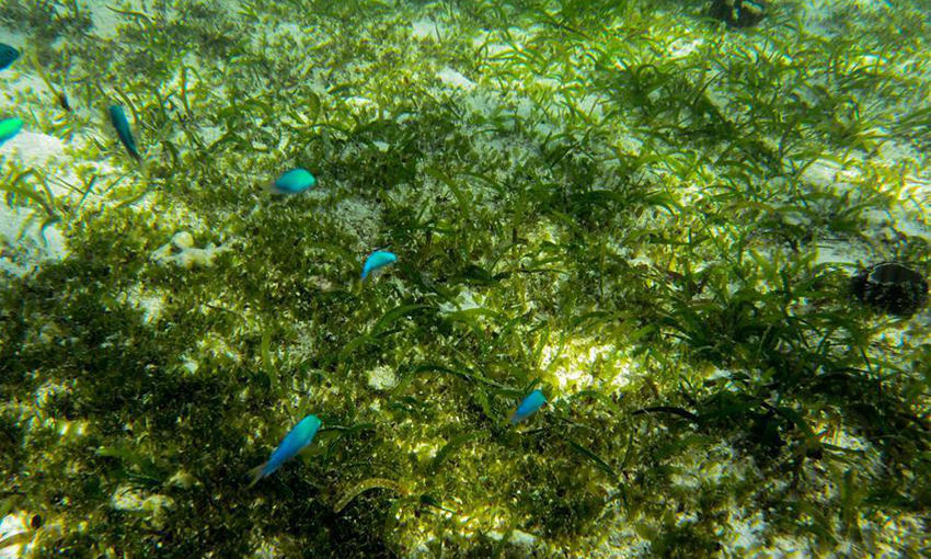 ???? ??? ???? ??? ???(七連嶼) ??