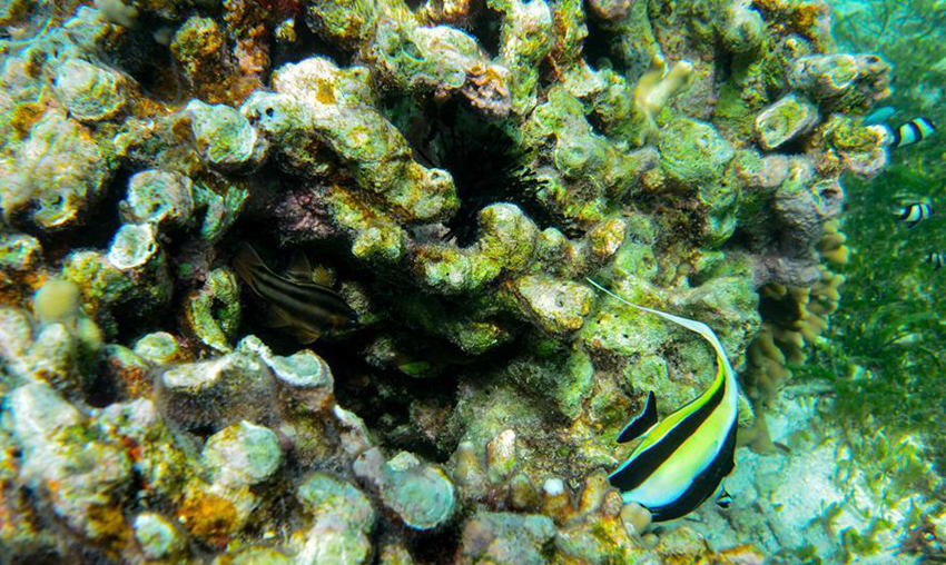 ???? ??? ???? ??? ???(七連嶼) ??