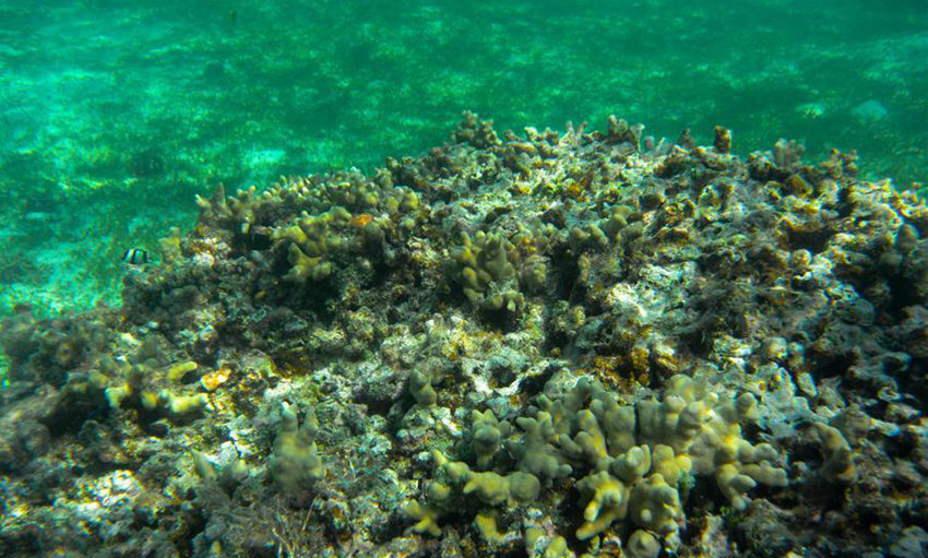 ???? ??? ???? ??? ???(七連嶼) ??