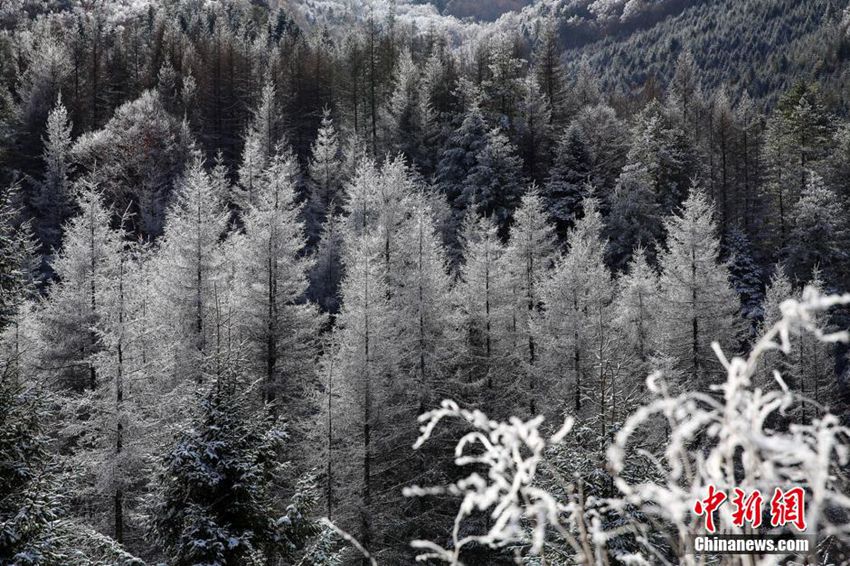 ???? ??????? ??? ??? ?? 