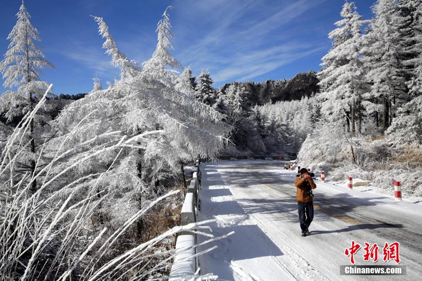 ???? ??????? ??? ??? ?? 