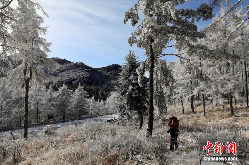 ???? ??????? ??? ??? ?? 