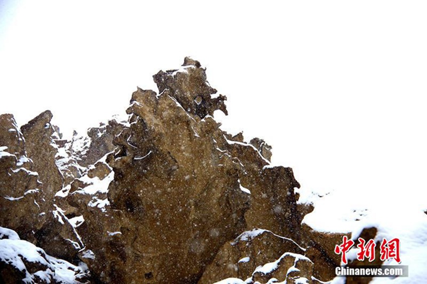 ?? ??? ????, ?? ?? ????? ?? ??