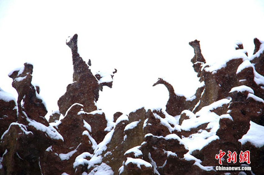 ?? ??? ????, ?? ?? ????? ?? ??