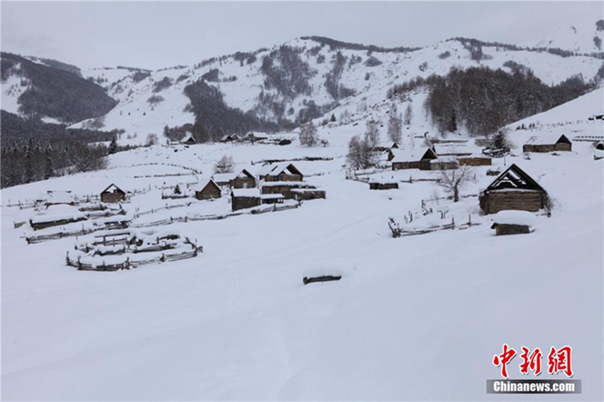 ?? ???? ???? ?? ??? ?, ‘????’