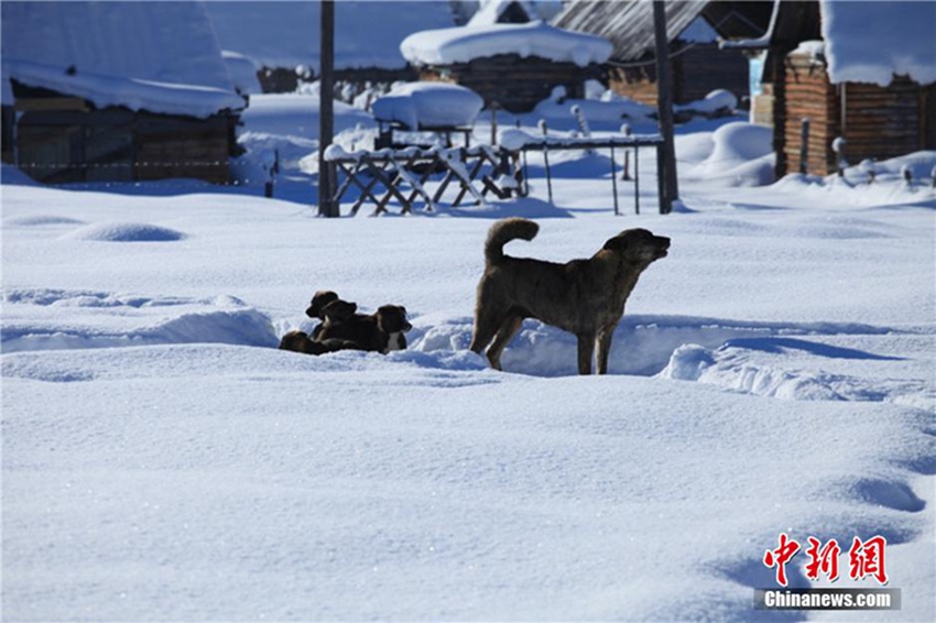 ?? ???? ???? ?? ??? ?, ‘????’