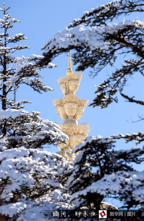 ??? ???? ?? ????, ‘?? ? ?? ??’