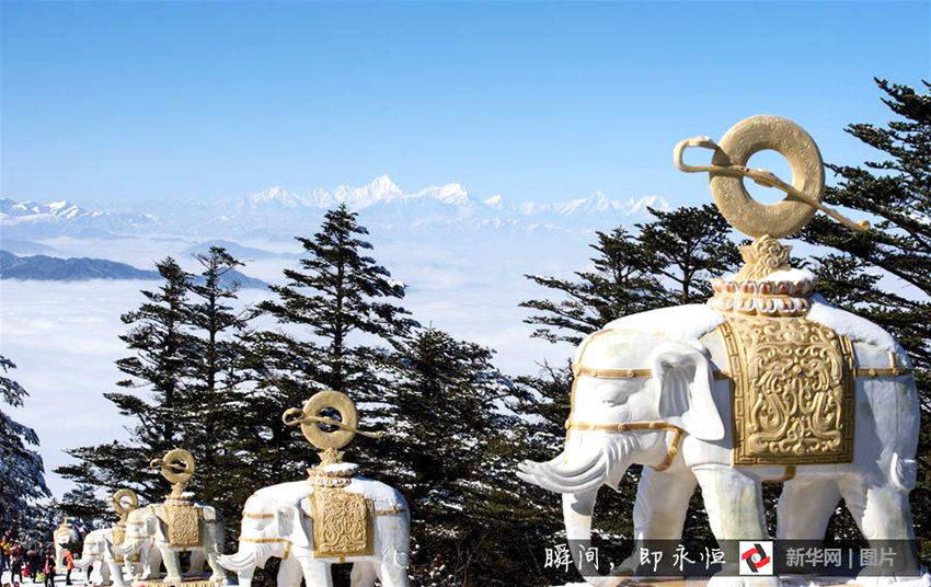 ??? ???? ?? ????, ‘?? ? ?? ??’