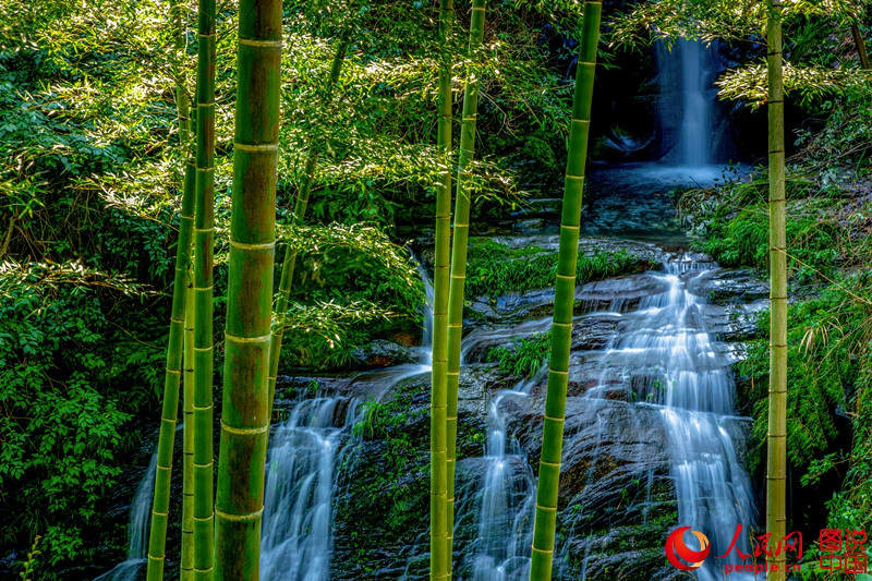 ?? ? ??? ???, ? ?? ? ?? ?? ???