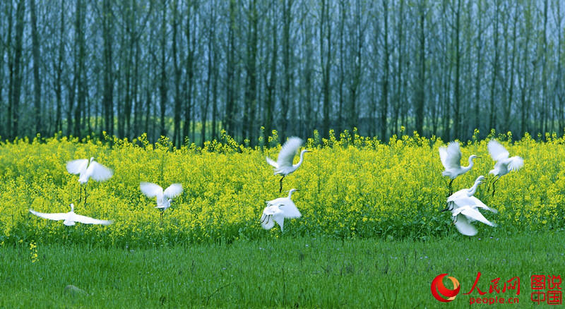 ?? ? ??? ???, ? ?? ? ?? ?? ???