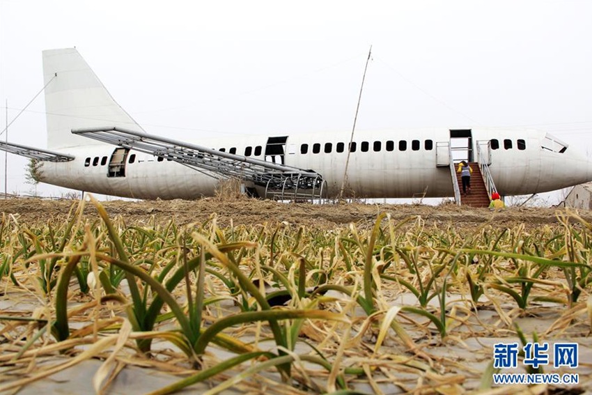 ?? ??? ‘??? ????’ ??, ??737? ??