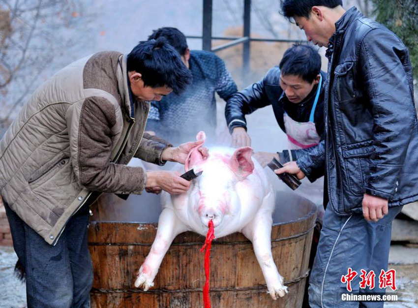 ?? ???? ?? ?? ?? ?? ??