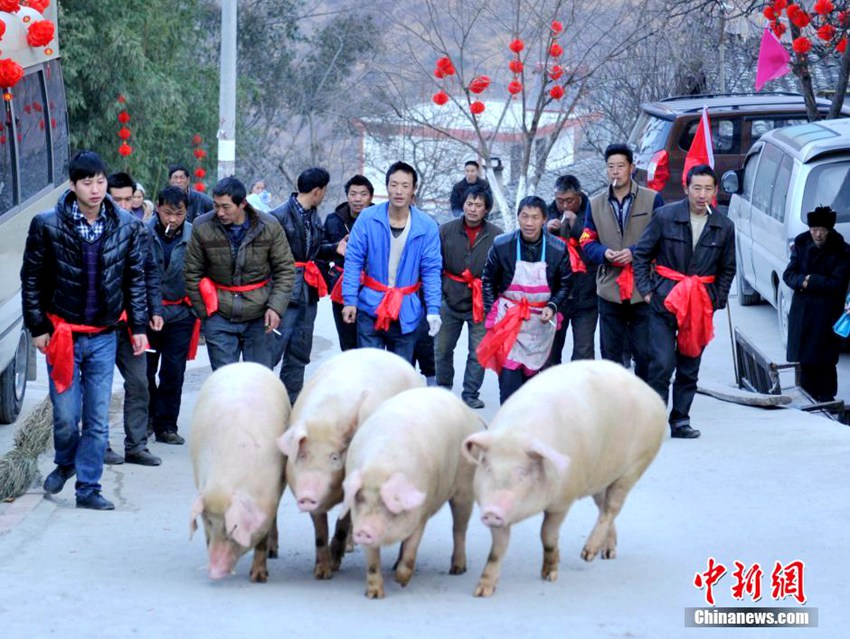 ?? ???? ?? ?? ?? ?? ??