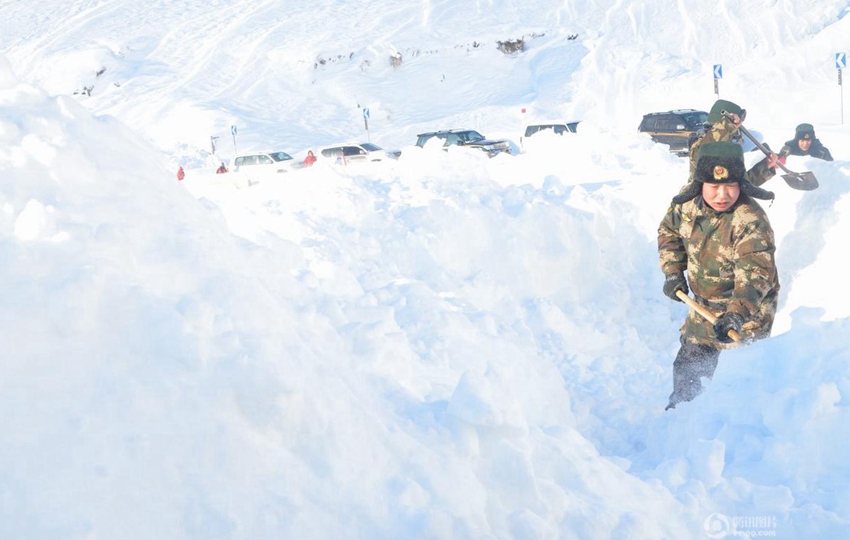 ???? ???? ‘????’ ??, ?? ?? ??