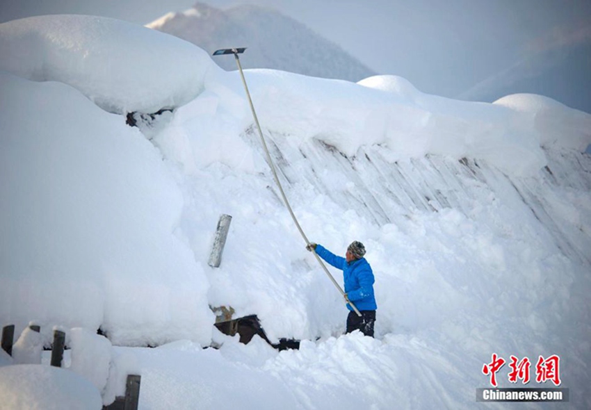 ?? ???, ??? ??? ‘?? ? ??’ ??