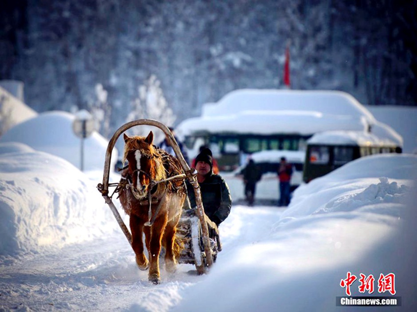 ?? ???, ??? ??? ‘?? ? ??’ ??