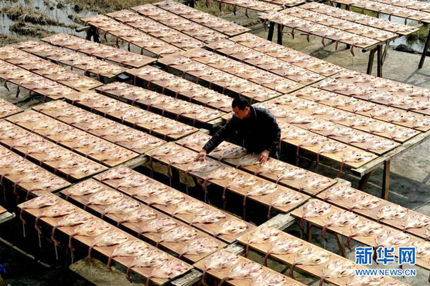 ?? ???? 200? ??, ??? ??? ??