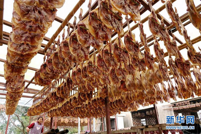 ?? ???? 200? ??, ??? ??? ??