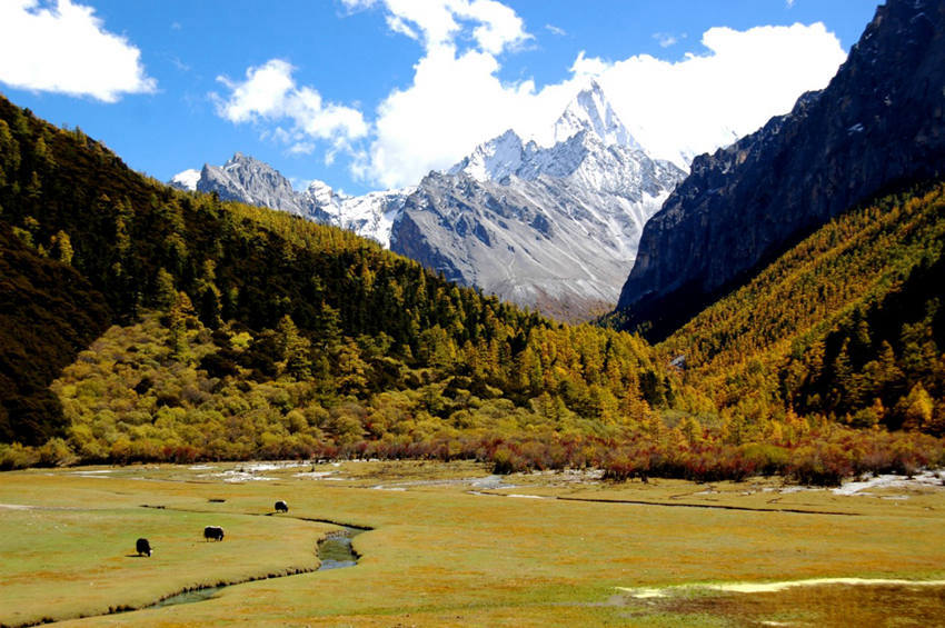 ?? ?? ????? ?? '??? ??'