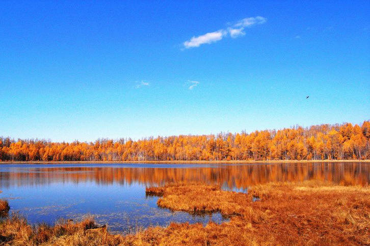 ?? ?? ????? ?? '??? ??'