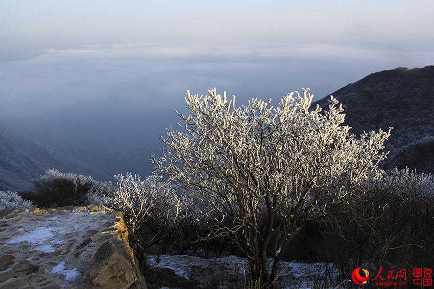 ?? ??? ???? ????, ??? ???? ??