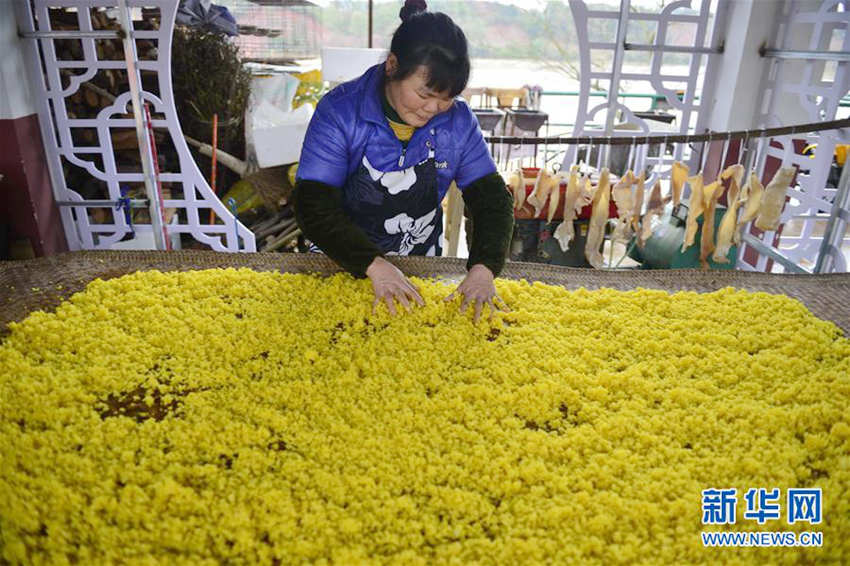 ???? ? ???, ?? ??? ??