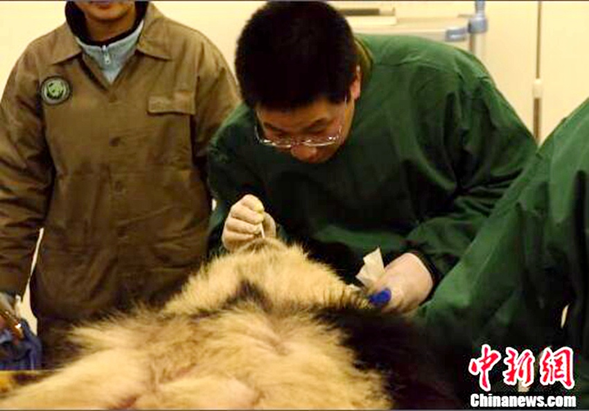 中?? ?? 韓???? ??… 15?? ?? ?? ??