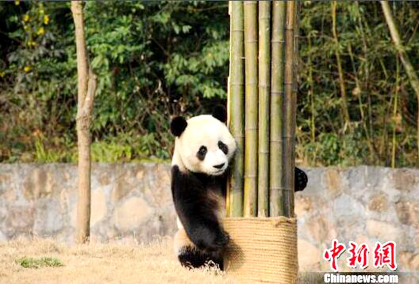 中?? ?? 韓???? ??… 15?? ?? ?? ??