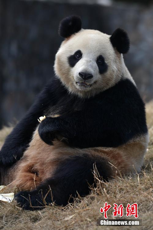 中?? ?? 韓???? ??… 15?? ?? ?? ??