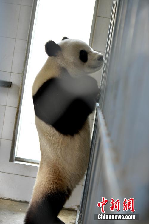 中?? ?? 韓???? ??… 15?? ?? ?? ??