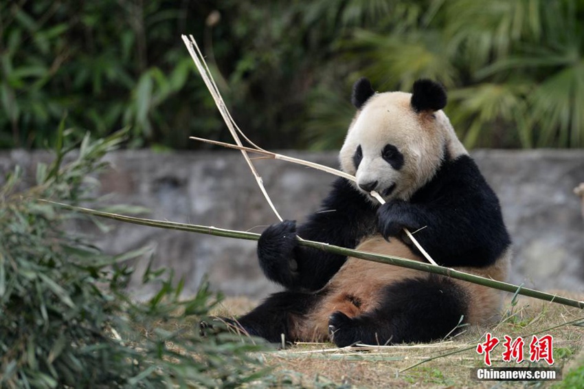 中?? ?? 韓???? ??… 15?? ?? ?? ??