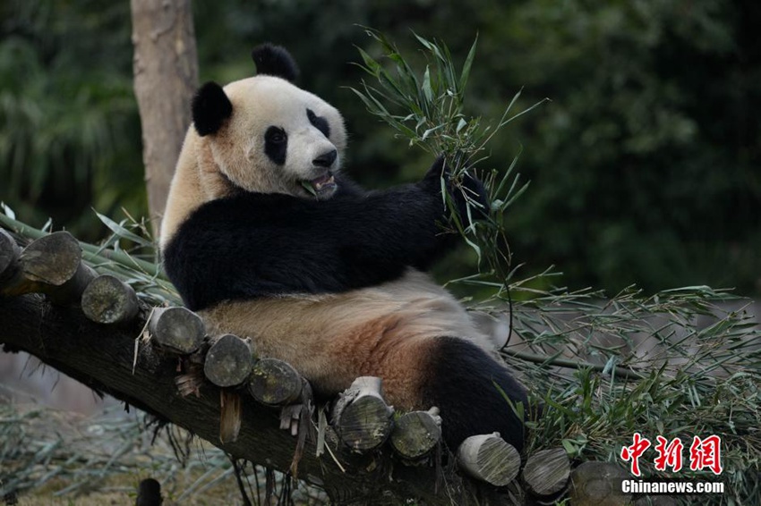 中?? ?? 韓???? ??… 15?? ?? ?? ??