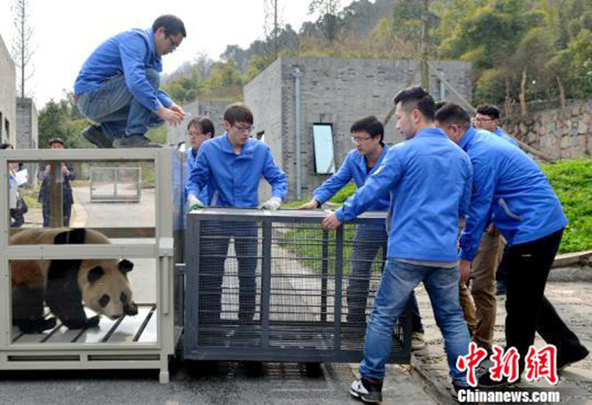 ???? ?? ?? ‘??’? ?? ?? ?? ??.