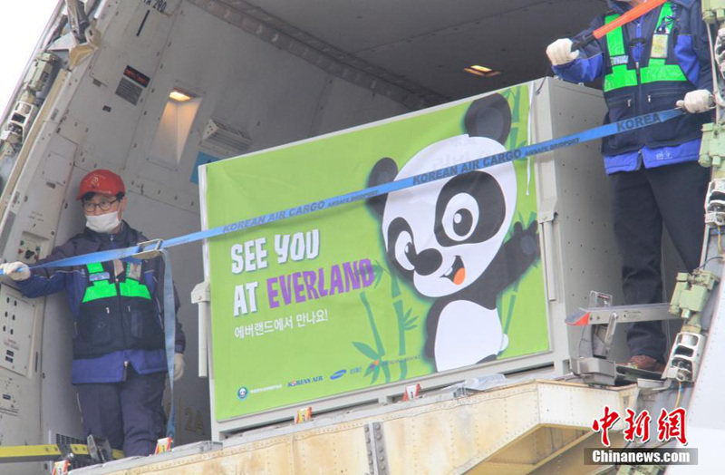 ?? ‘????’, ‘???’? ???? ??