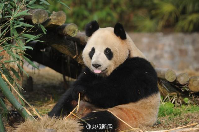 ?? ‘????’, ‘???’? ???? ??